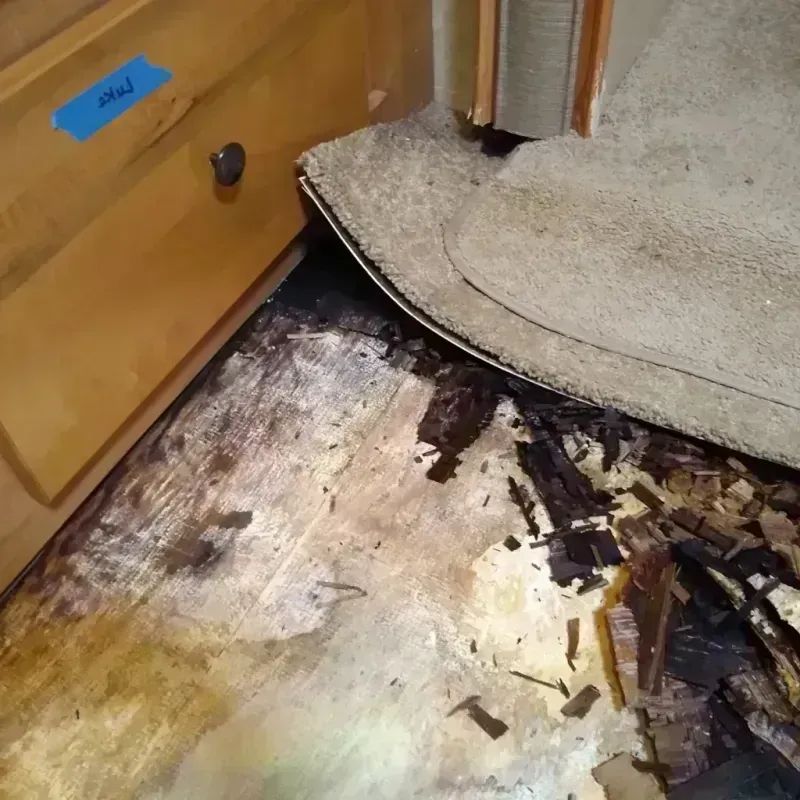 Wood Floor Water Damage in Cheval, FL